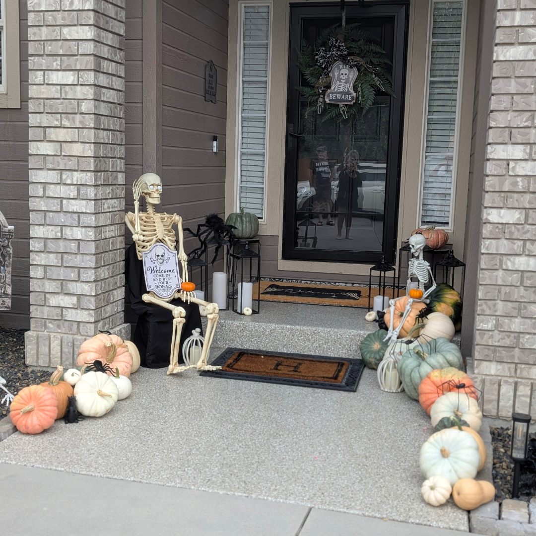 Mini Pumpkin Patch