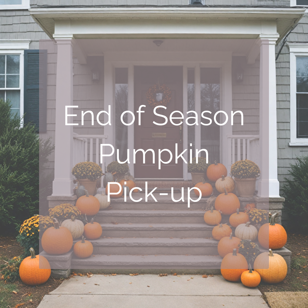 End of Season Pick-up