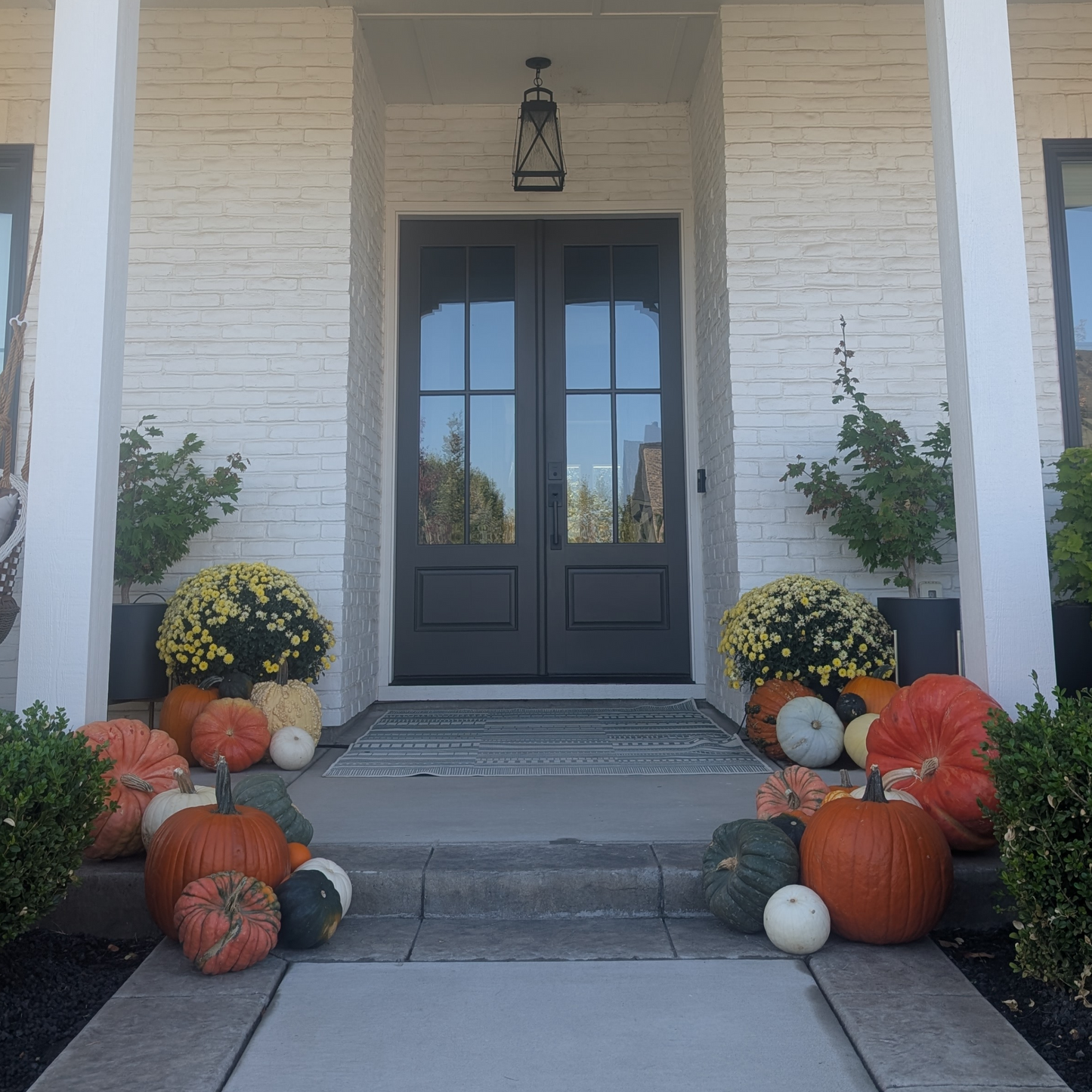 Mini Pumpkin Patch