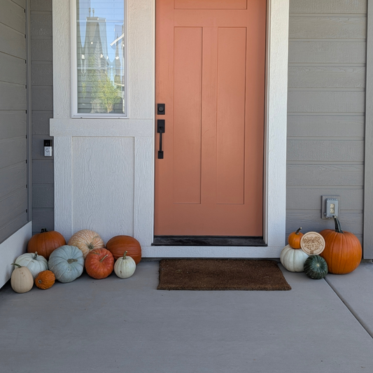 Micro Pumpkin Patch