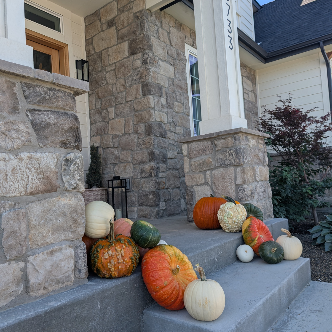 Mini Pumpkin Patch