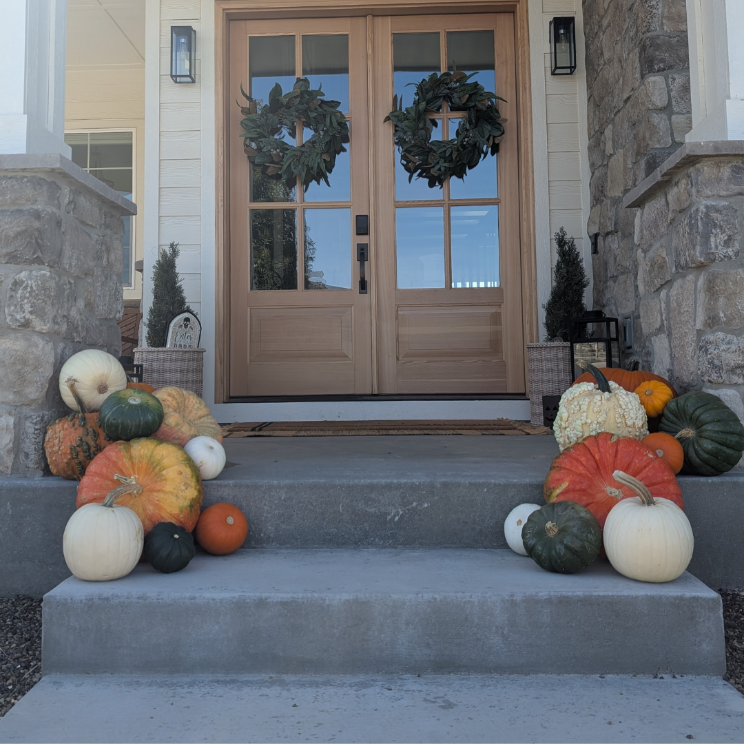 Mini Pumpkin Patch